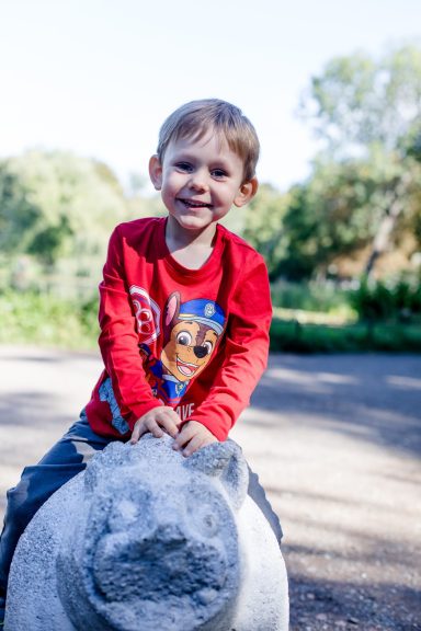 Junge mit rotem Shirt lächelt und sitzt auf einem Stein-Schwein im Freien.