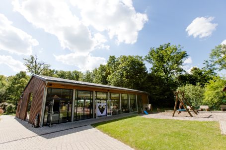 Moderne Gebäude mit großen Fenstern, Spielplatz und viel Grün im Hintergrund.