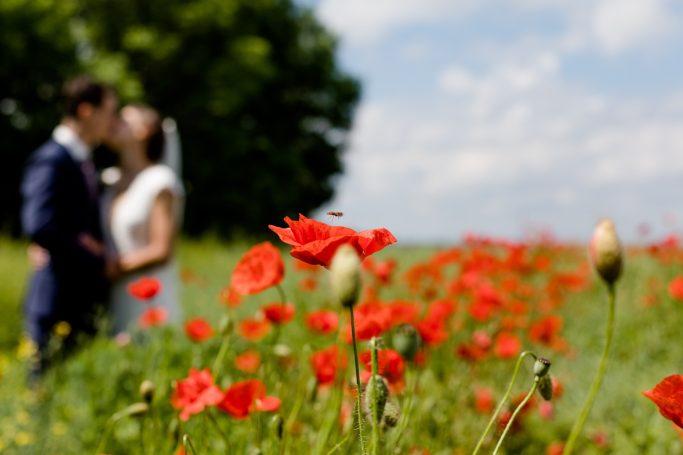 Ein Brautpaar küsst sich in einem Feld voller roter Mohnblumen.